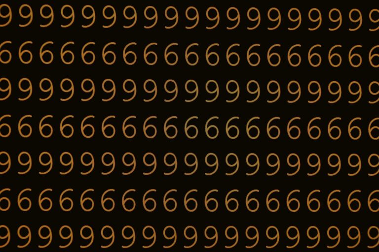 Die Wahrheit hinter der Nummer +31 85 773 37 64: Was steckt dahinter?