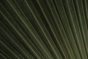 Biohacking: Der Trend zur Selbstoptimierung