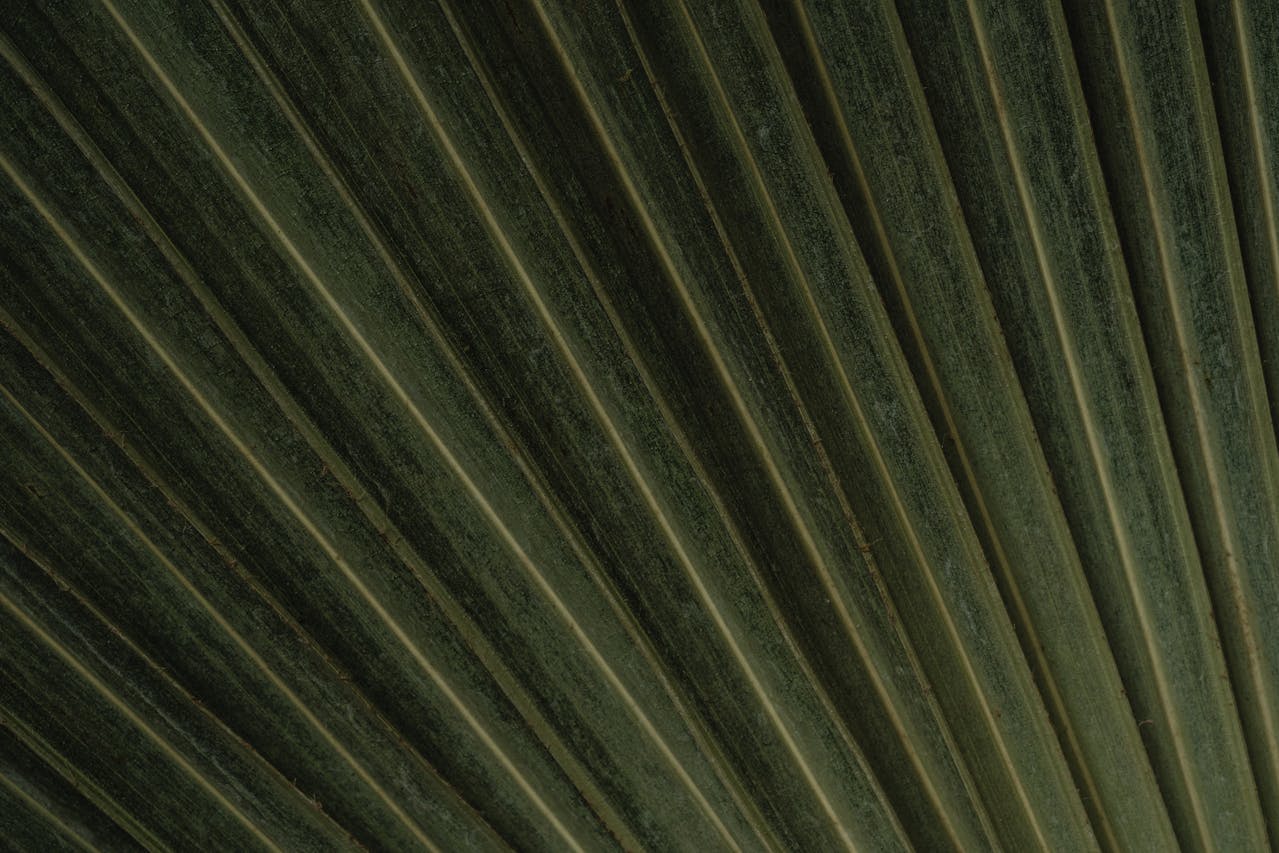 Biohacking: Der Trend zur Selbstoptimierung