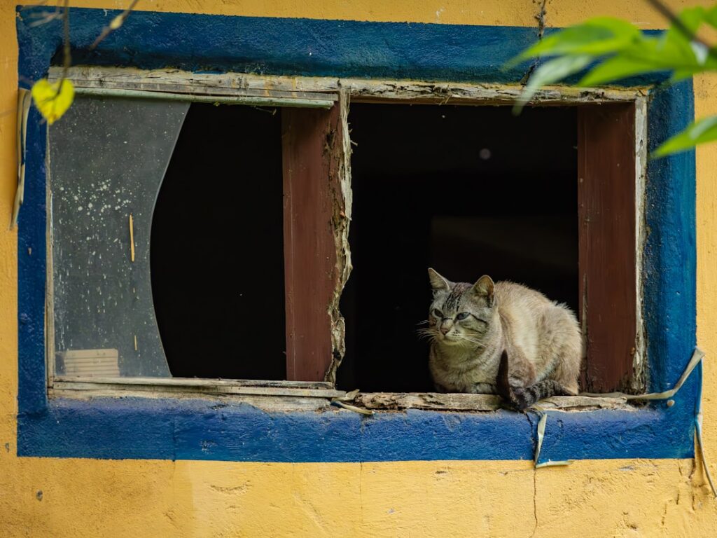 Was es bedeutet, resilient zu sein: Stärke und Gesundheit im Alltag