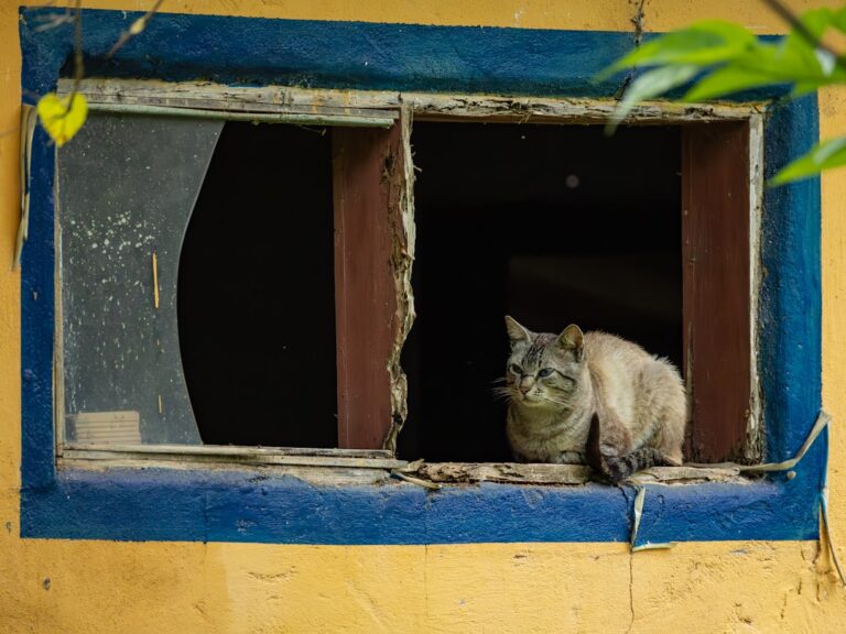 Was es bedeutet, resilient zu sein: Stärke und Gesundheit im Alltag